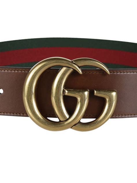 new Gucci web belt